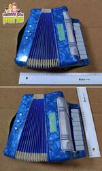 אקורדיון קטן