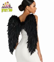 כנפיים שחורות