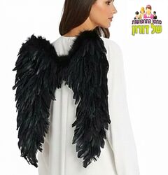 כנפיים שחורות