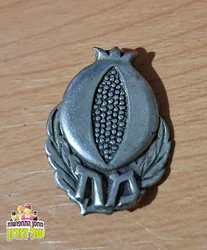 סיכת מחלקת חבלה בהגנה