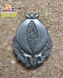 סיכת מחלקת חבלה בהגנה