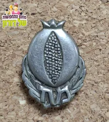 סיכת מחלקת חבלה בהגנה