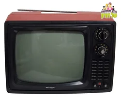 טלוויזיה נוסטלגית שנות ה70