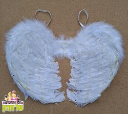 כנפיים נוצות לבנות